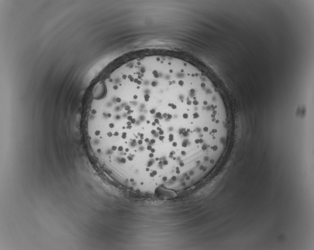 X0000111011066200907101310
