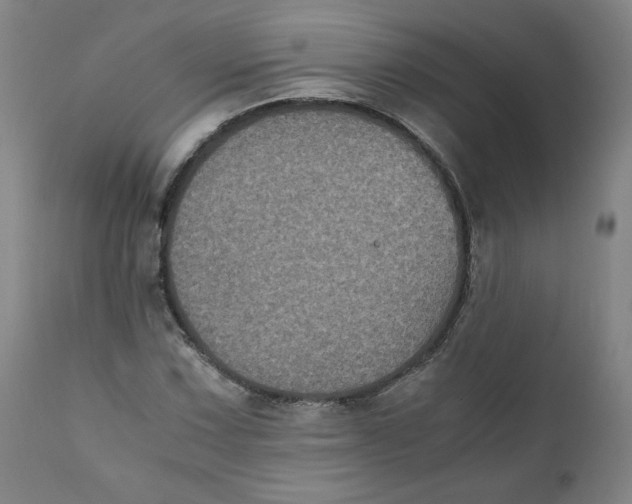 X0000111011067200907101310