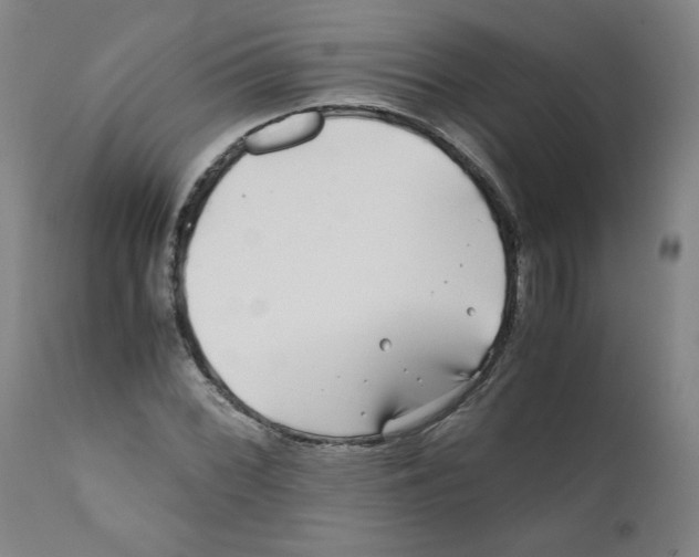 X0000111011068200907101310