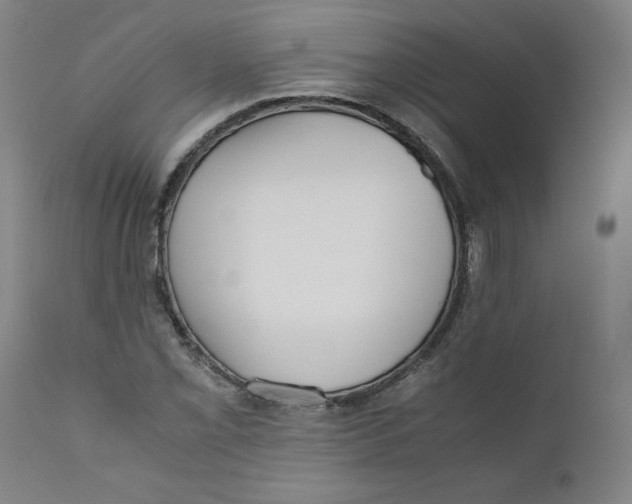 X0000111011069200907101310