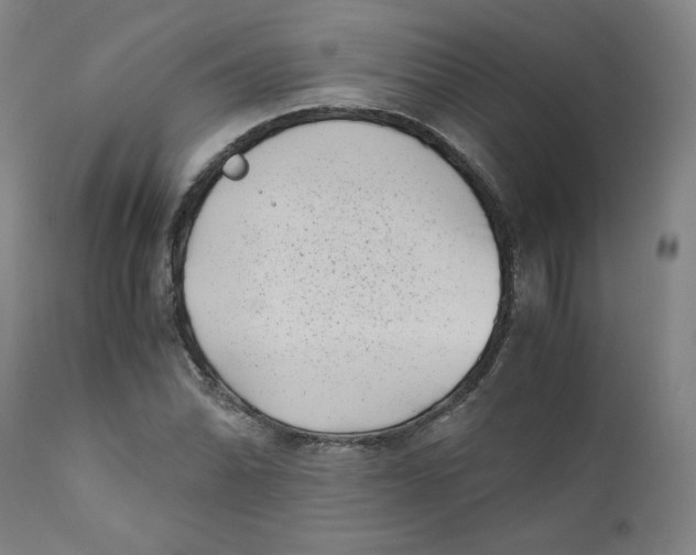 X0000111011070200907101310