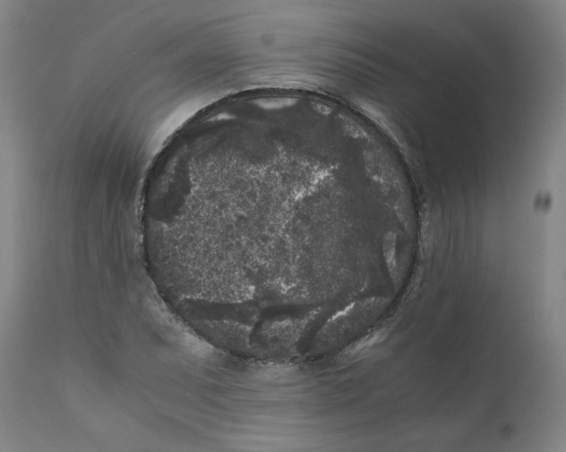X0000111011071200907101310