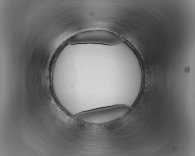 X0000111011072200907101310