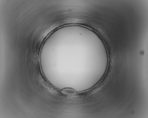 X0000111011073200907101310