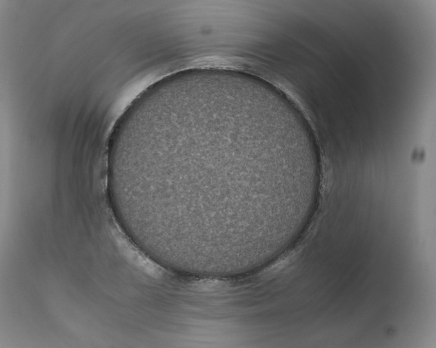 X0000111011075200907101310