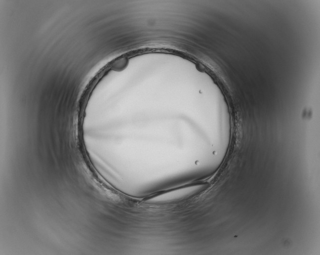 X0000111011076200907101310