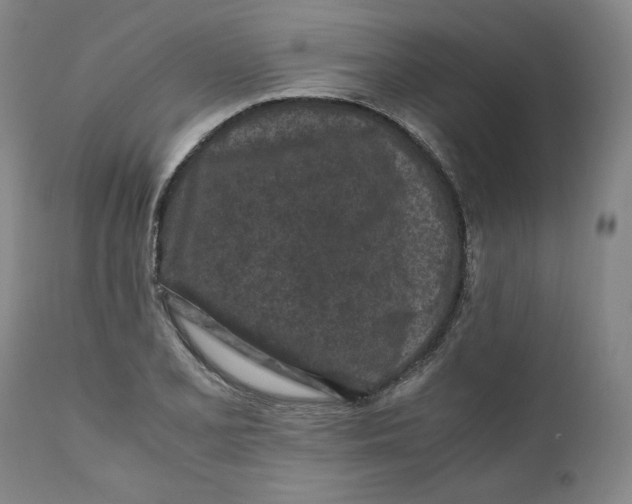X0000111011077200907101310