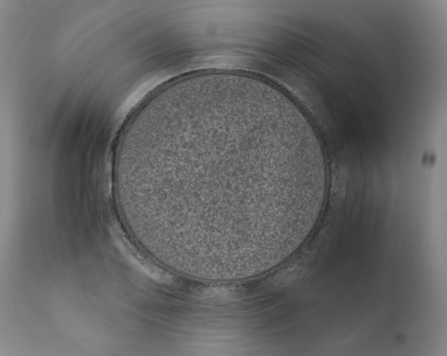X0000111011078200907101310