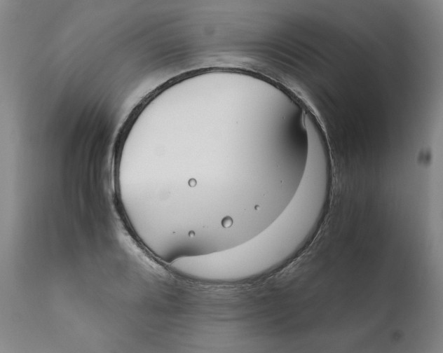 X0000111011080200907101310