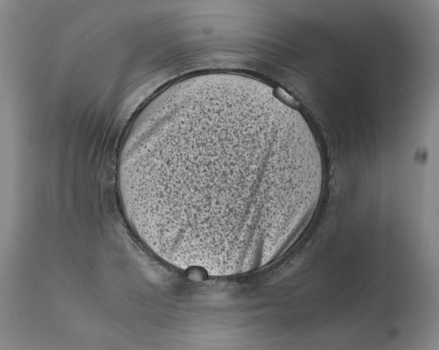 X0000111011081200907101310