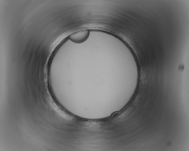 X0000111011082200907101310