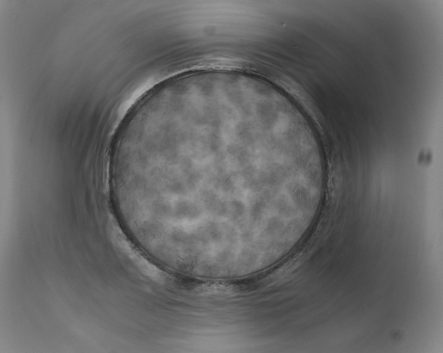 X0000111011083200907101310