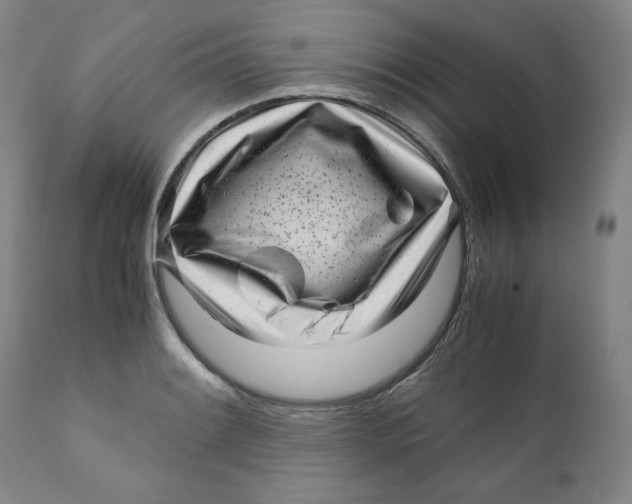 X0000111011084200907101310