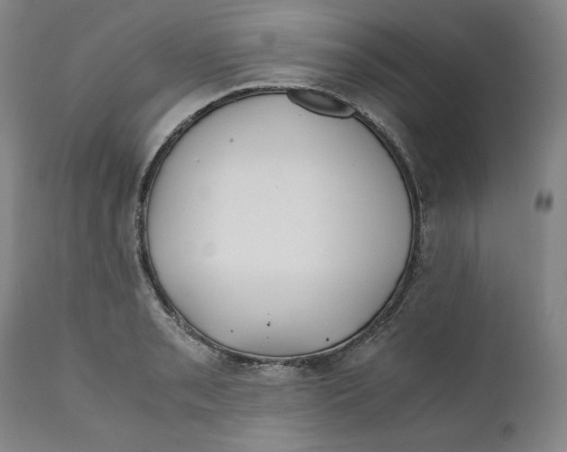 X0000111011085200907101310