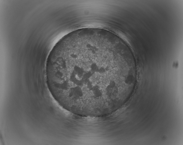 X0000111011087200907101310