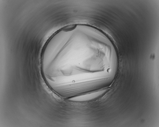 X0000111011088200907101310