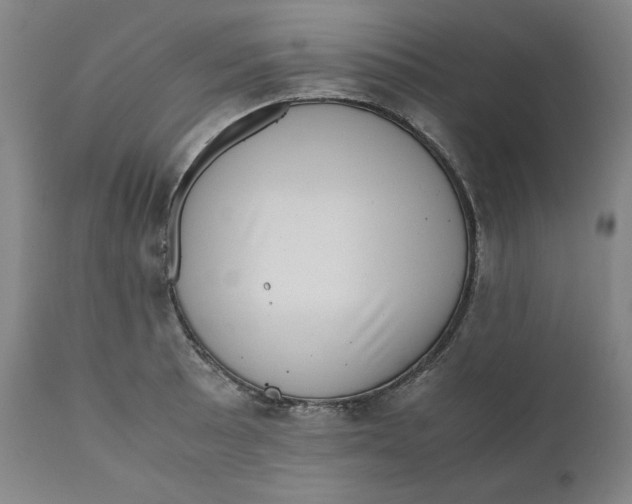 X0000111011089200907101310