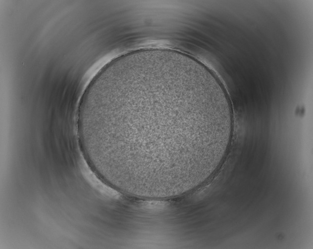 X0000111011090200907101310