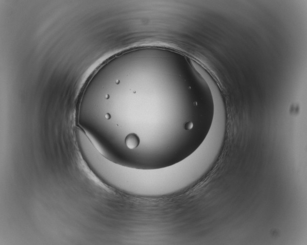 X0000111011092200907101310