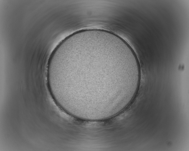 X0000111011093200907101310