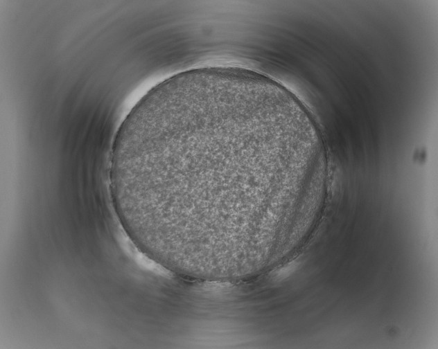 X0000111011094200907101310