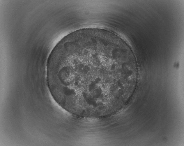 X0000111011095200907101310