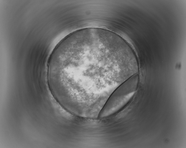 X0000111011096200907101310
