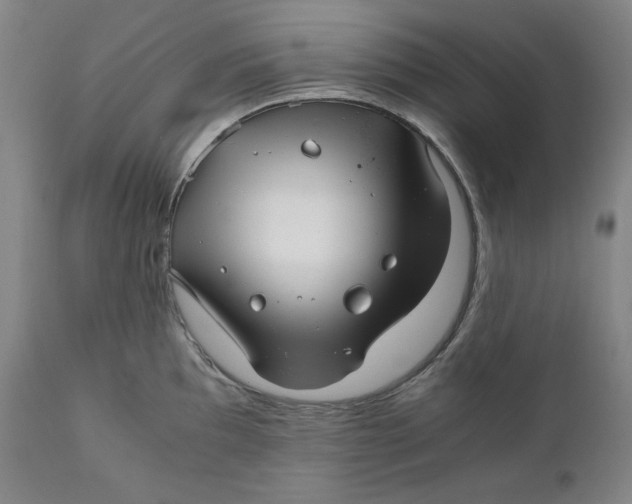 X0000111011097200907101310