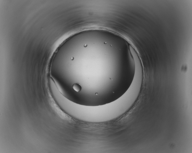 X0000111011098200907101309