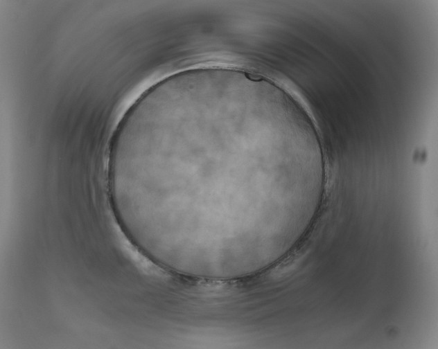 X0000111011099200907101309