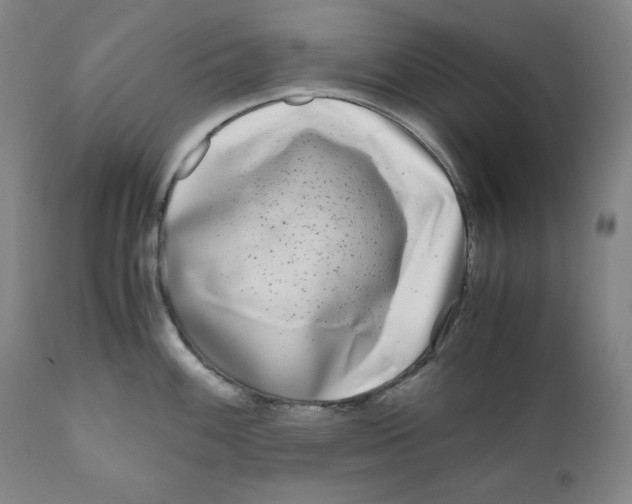 X0000111011100200907101309