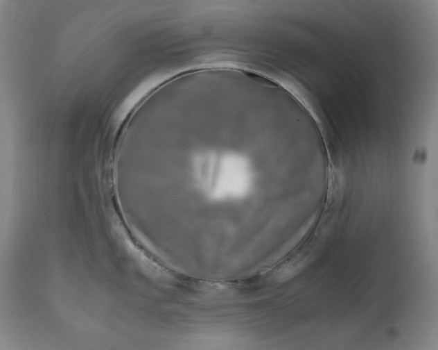 X0000111011101200907101309