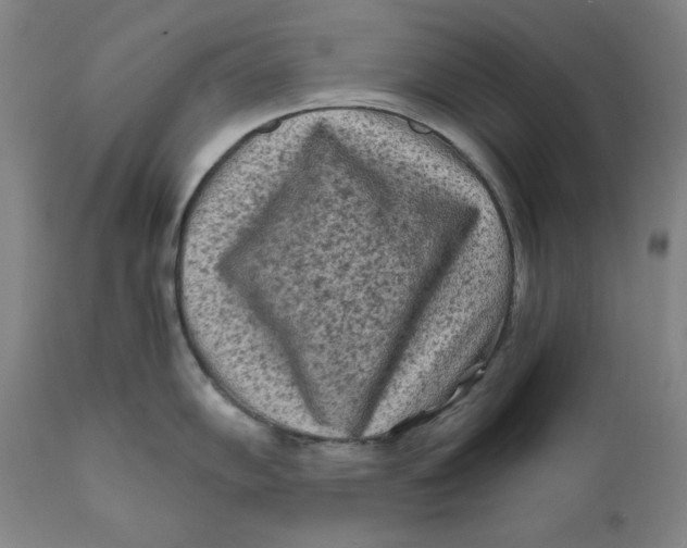 X0000111011102200907101309