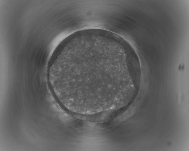 X0000111011104200907101309