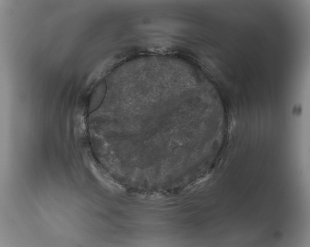 X0000111011106200907101309