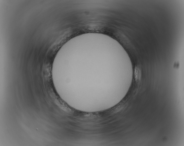 X0000111011107200907101309