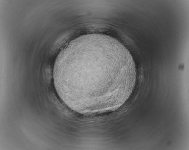 X0000111011108200907101309