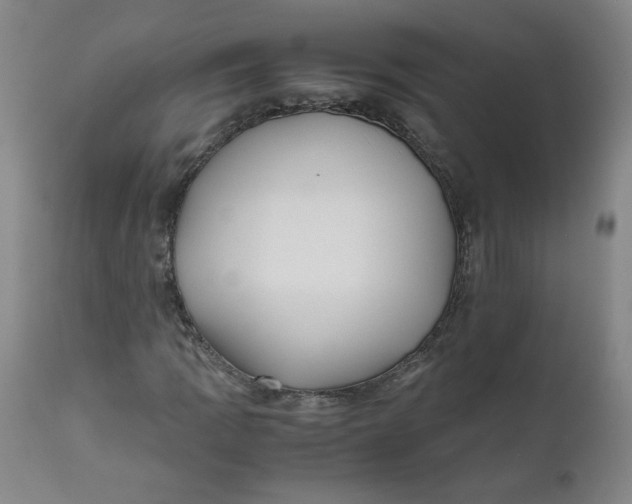 X0000111011109200907101309