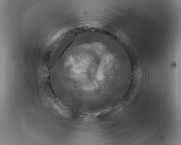 X0000111011110200907101309