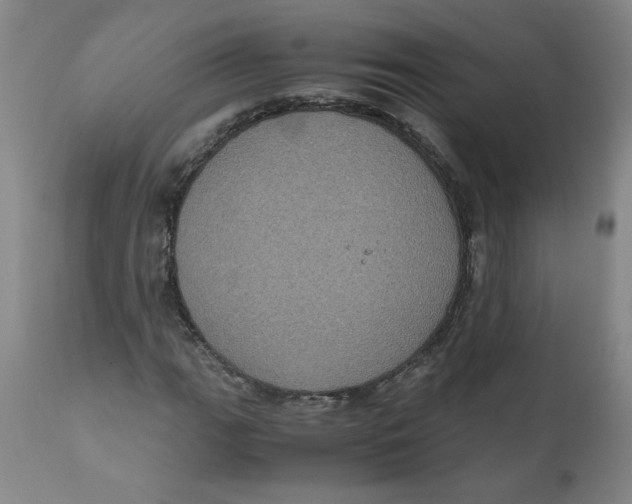 X0000111011111200907101309