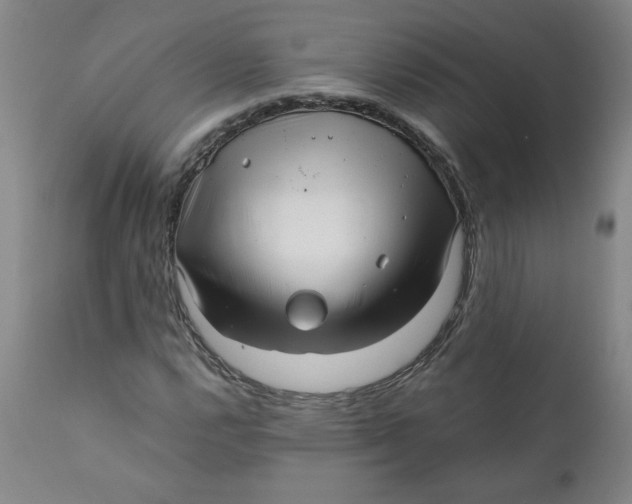 X0000111011112200907101309