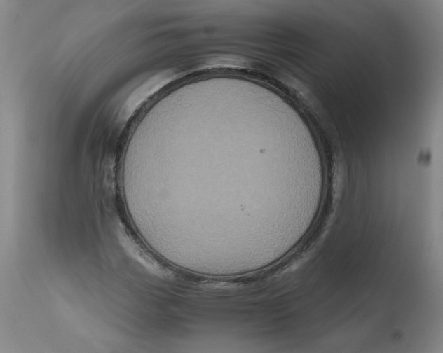 X0000111011113200907101309