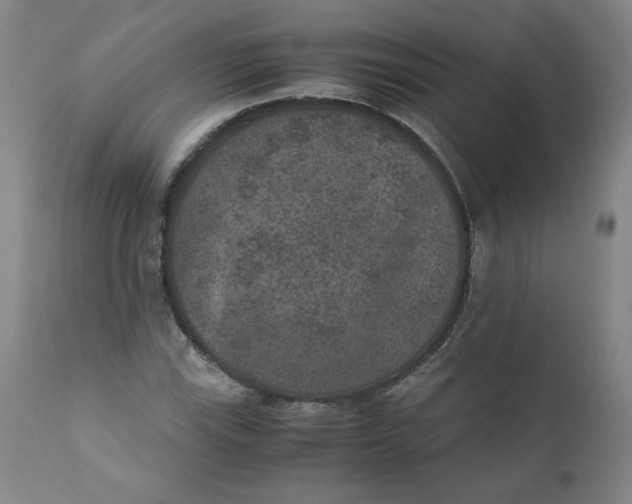 X0000111011115200907101309