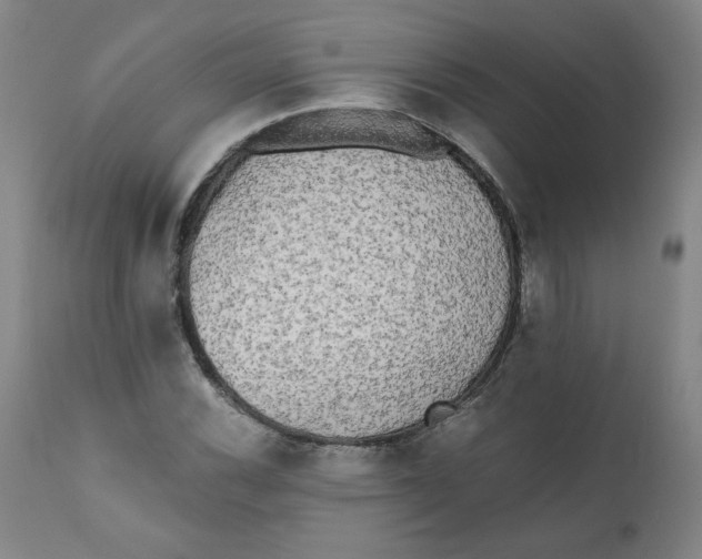 X0000111011116200907101309