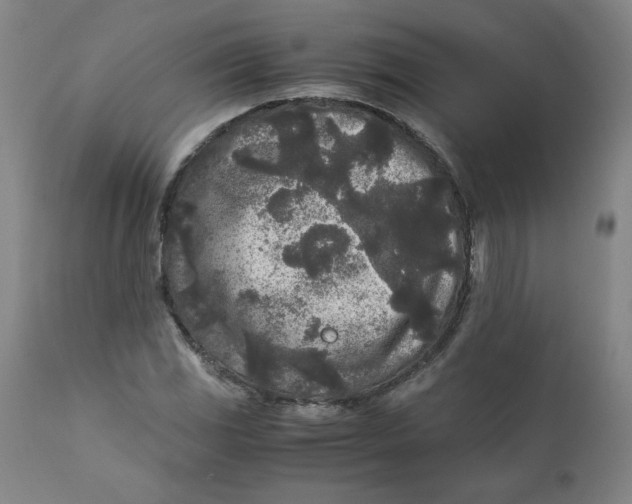 X0000111011117200907101309