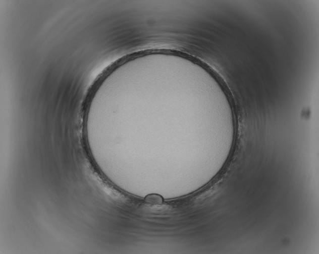 X0000111011119200907101309