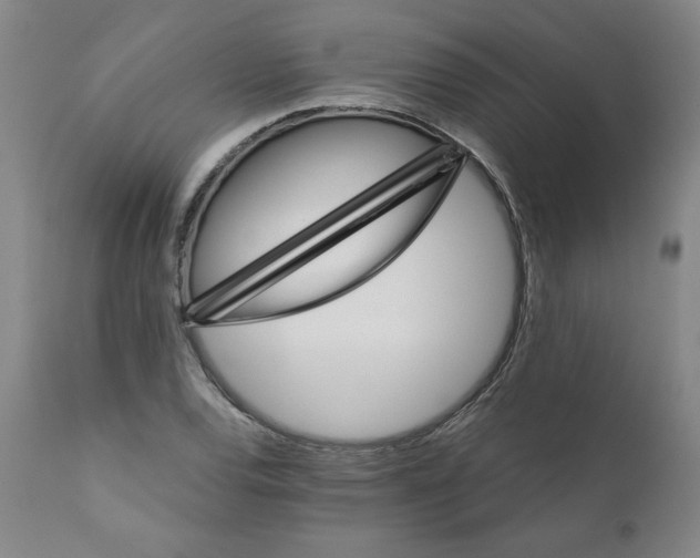 X0000111011120200907101309