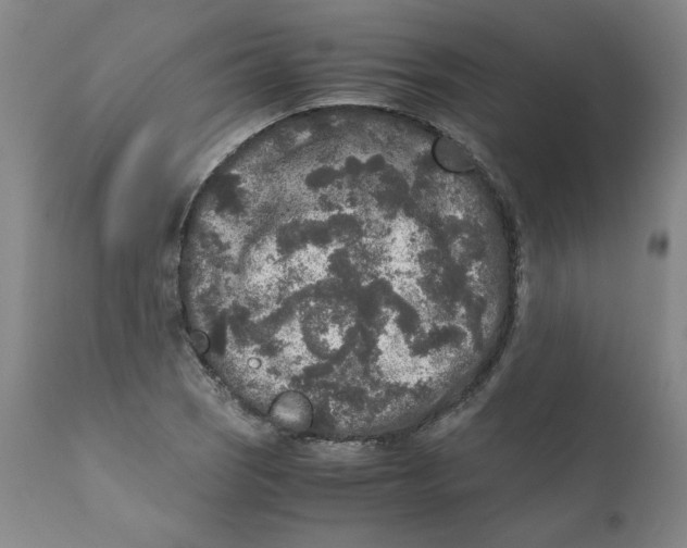 X0000111011121200907101309