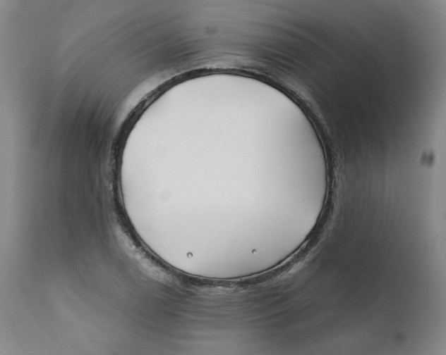 X0000111011122200907101309
