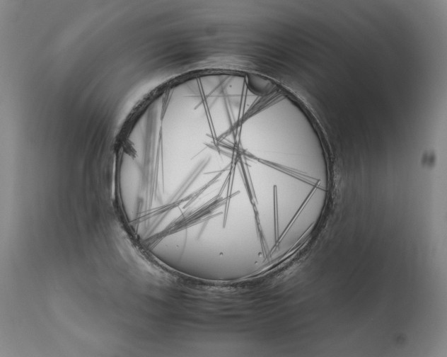 X0000111011123200907101309